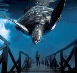 Facts About Business That Will Help You Success