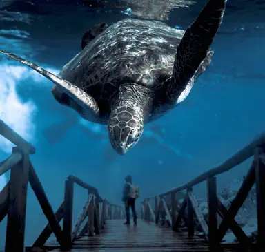 Facts About Business That Will Help You Success